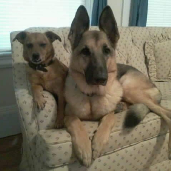 Meet your Posher, Mike - Picture 2 of 10